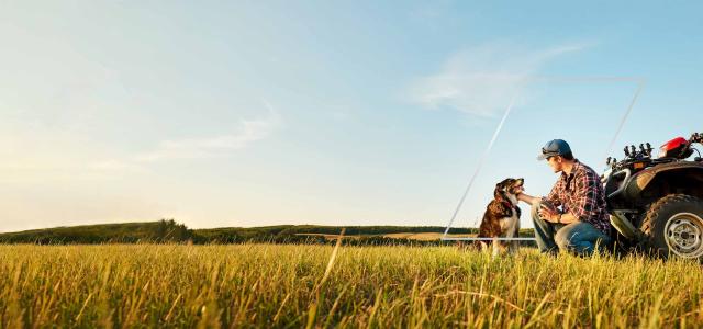 Man and dog on the field